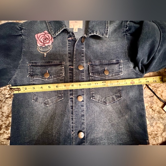 Victorian flamingo handpainted rhinestones cropped denim TGLA Jean jacket sz LG - Picture 15 of 16